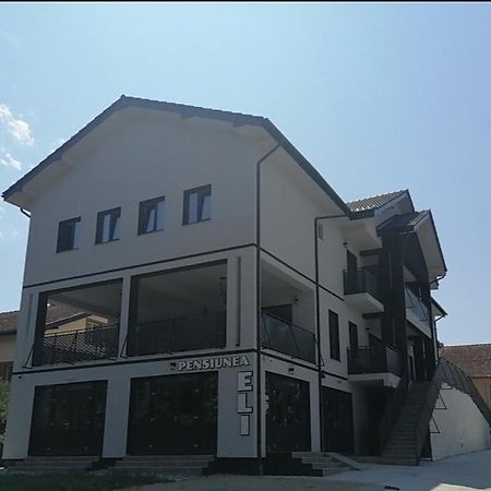 Pensiunea Eli Buziaş Buitenkant foto