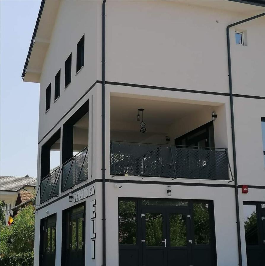 Pensiunea Eli Buziaş Buitenkant foto