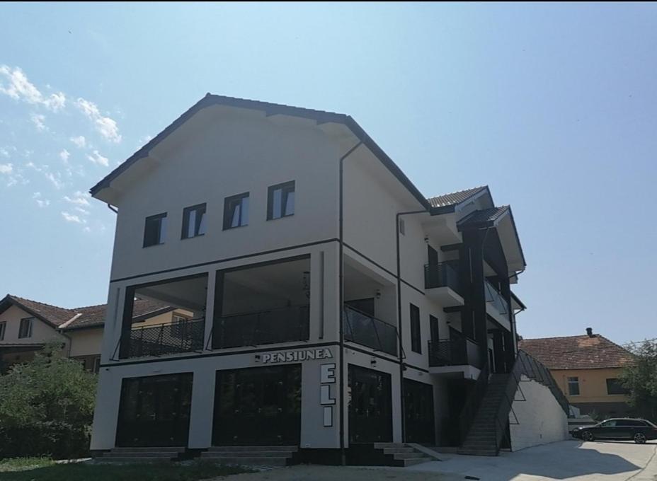 Pensiunea Eli Buziaş Buitenkant foto